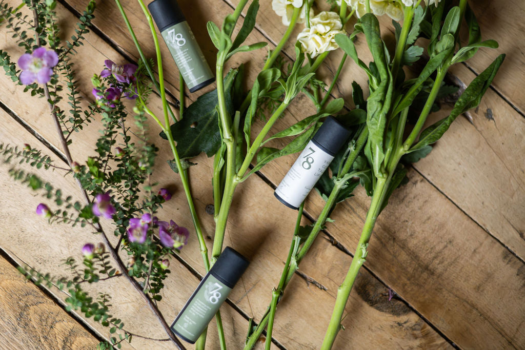 Tallow Lip Balms