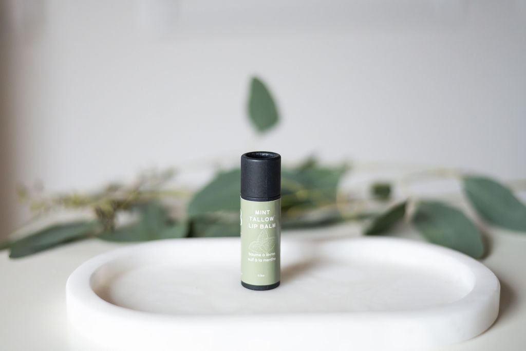 Mint Tallow Lip Balm