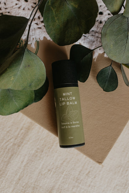 Mint Tallow Lip Balm
