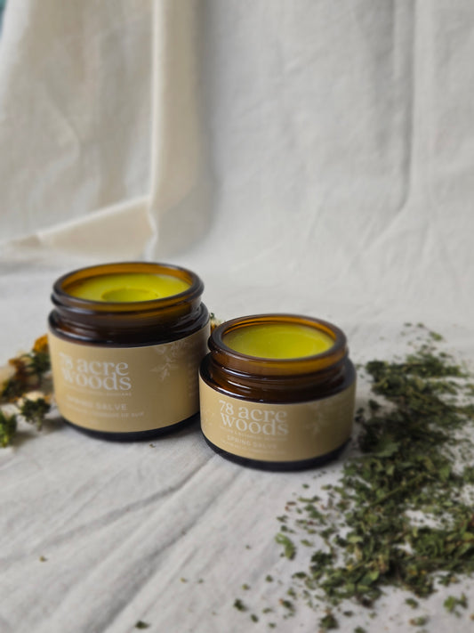 Spring Salve- Dandelion and Nettle