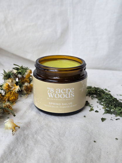 Spring Salve- Dandelion and Nettle