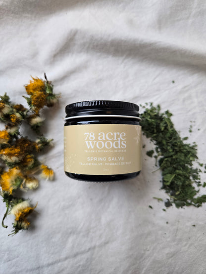 Spring Salve- Dandelion and Nettle